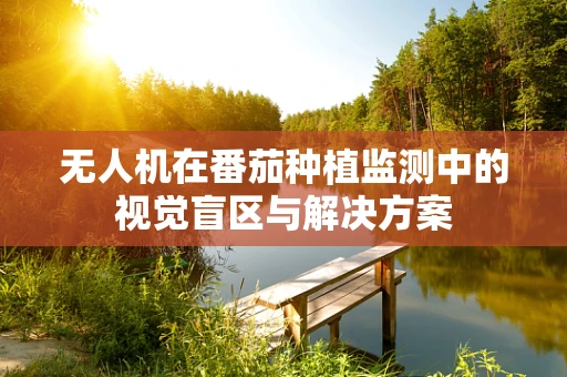 无人机在番茄种植监测中的视觉盲区与解决方案