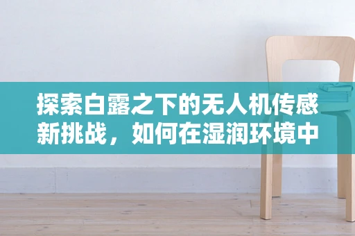 探索白露之下的无人机传感新挑战，如何在湿润环境中保持精准感知？