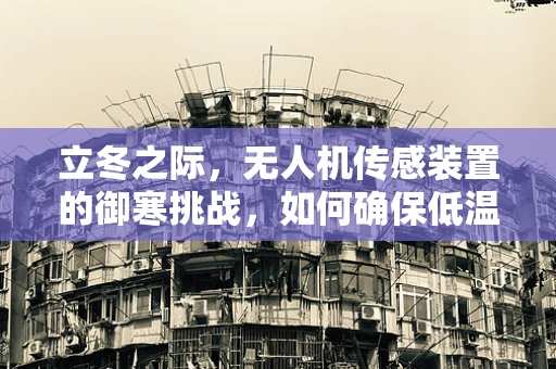立冬之际，无人机传感装置的御寒挑战，如何确保低温环境下的精准飞行？
