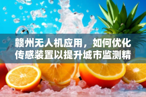 赣州无人机应用，如何优化传感装置以提升城市监测精度？