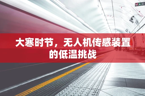大寒时节，无人机传感装置的低温挑战