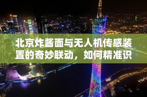 北京炸酱面与无人机传感装置的奇妙联动，如何精准识别并避开空中障碍？