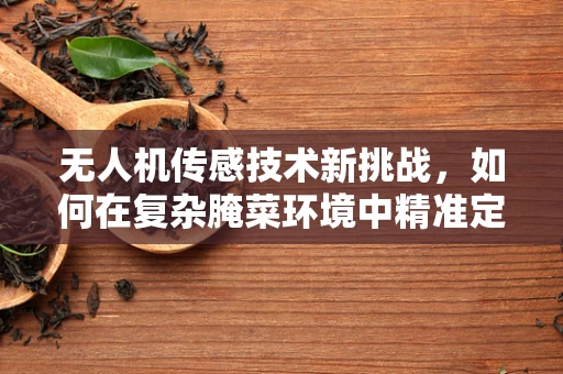 无人机传感技术新挑战，如何在复杂腌菜环境中精准定位？
