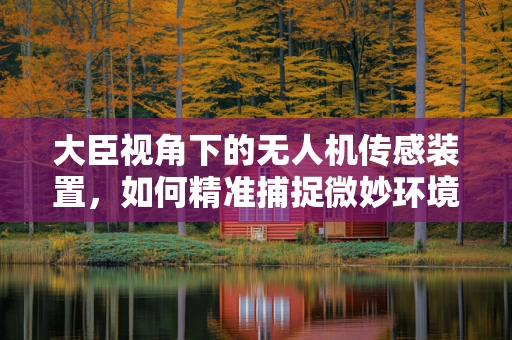 大臣视角下的无人机传感装置，如何精准捕捉微妙环境变化？