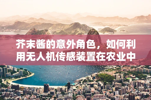 芥末酱的意外角色，如何利用无人机传感装置在农业中精准喷洒？