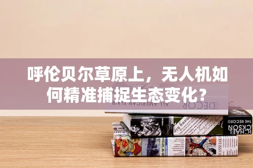 呼伦贝尔草原上，无人机如何精准捕捉生态变化？