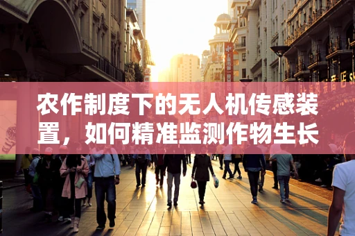 农作制度下的无人机传感装置，如何精准监测作物生长？