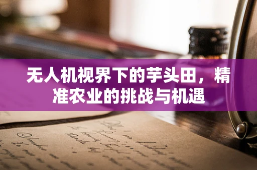 无人机视界下的芋头田，精准农业的挑战与机遇