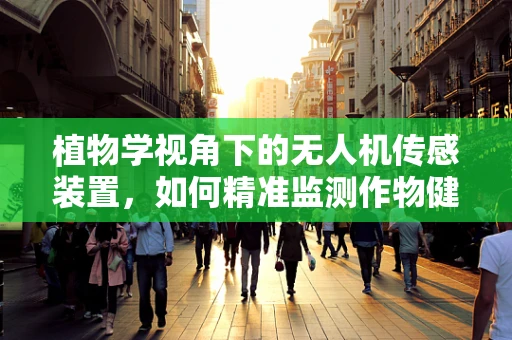 植物学视角下的无人机传感装置，如何精准监测作物健康？