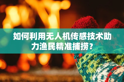 如何利用无人机传感技术助力渔民精准捕捞？