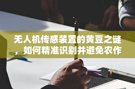 无人机传感装置的黄豆之谜，如何精准识别并避免农作物中的异常？
