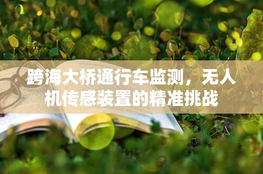 跨海大桥通行车监测，无人机传感装置的精准挑战
