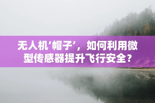 无人机‘帽子’，如何利用微型传感器提升飞行安全？