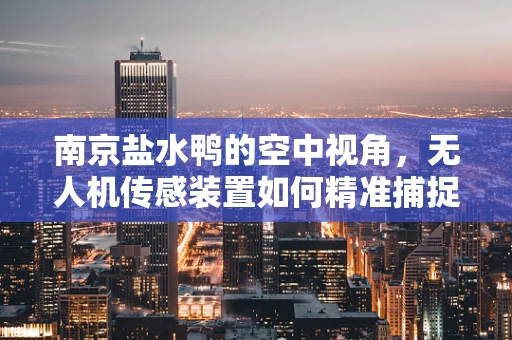 南京盐水鸭的空中视角，无人机传感装置如何精准捕捉美食的‘鲜’？