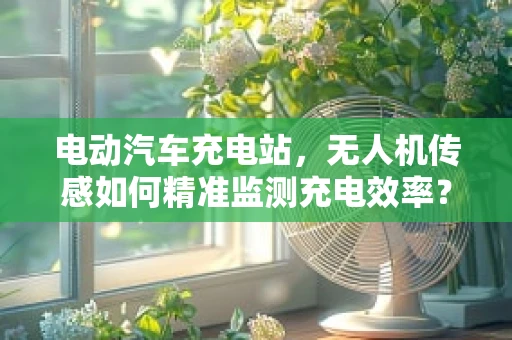 电动汽车充电站，无人机传感如何精准监测充电效率？