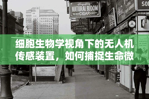 细胞生物学视角下的无人机传感装置，如何捕捉生命微动？