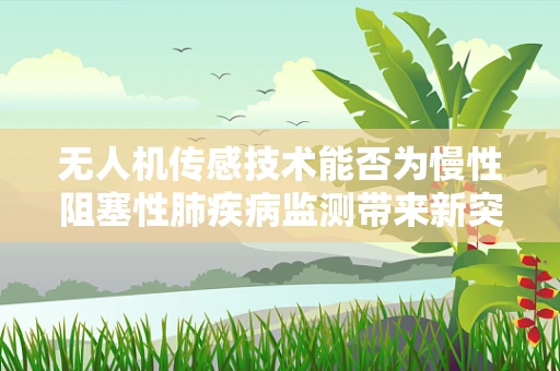 无人机传感技术能否为慢性阻塞性肺疾病监测带来新突破？