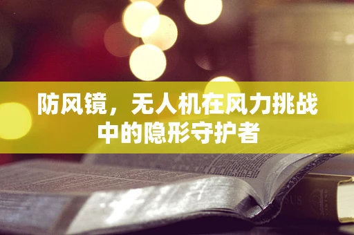 防风镜，无人机在风力挑战中的隐形守护者