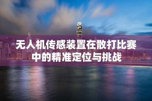 无人机传感装置在散打比赛中的精准定位与挑战