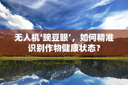 无人机‘豌豆眼’，如何精准识别作物健康状态？
