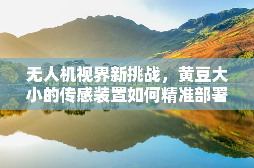 无人机视界新挑战，黄豆大小的传感装置如何精准部署？