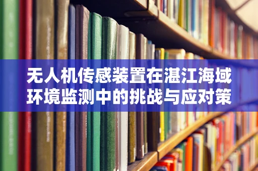 无人机传感装置在湛江海域环境监测中的挑战与应对策略