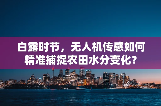 白露时节，无人机传感如何精准捕捉农田水分变化？