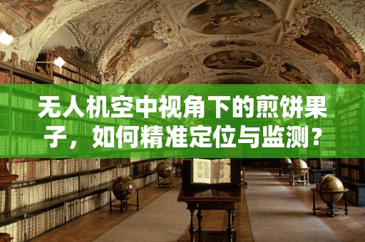无人机空中视角下的煎饼果子，如何精准定位与监测？