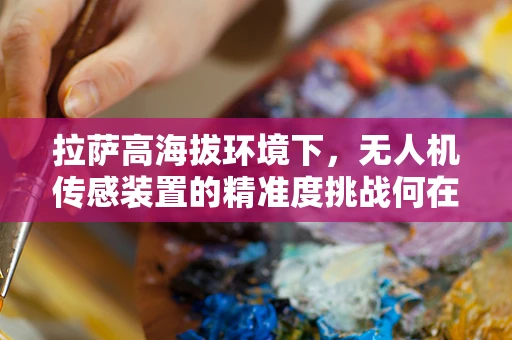 拉萨高海拔环境下，无人机传感装置的精准度挑战何在？