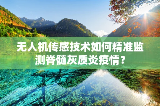 无人机传感技术如何精准监测脊髓灰质炎疫情？