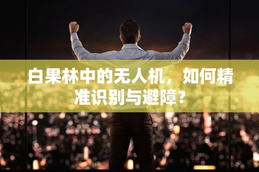 白果林中的无人机，如何精准识别与避障？