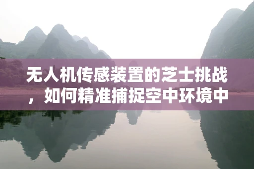 无人机传感装置的芝士挑战，如何精准捕捉空中环境中的微小变化？