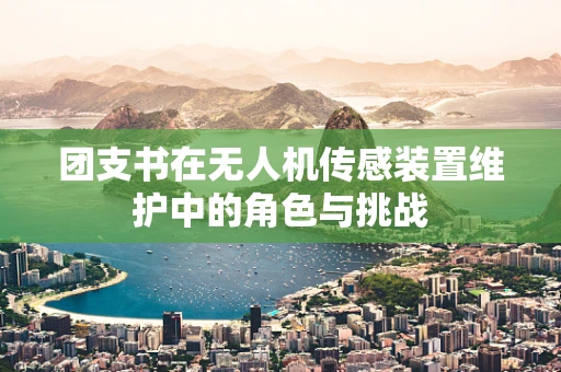 团支书在无人机传感装置维护中的角色与挑战