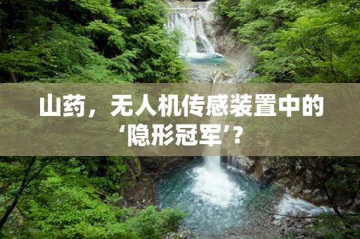 山药，无人机传感装置中的‘隐形冠军’？