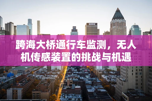 跨海大桥通行车监测，无人机传感装置的挑战与机遇