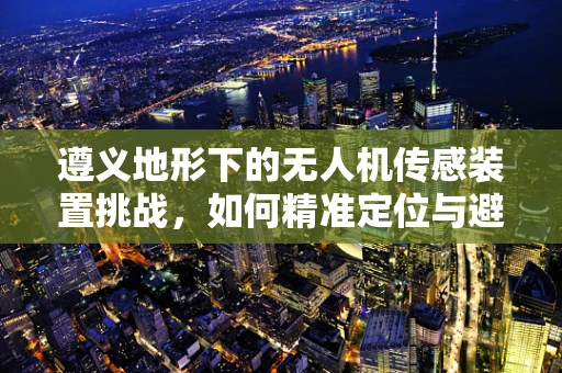 遵义地形下的无人机传感装置挑战，如何精准定位与避障？