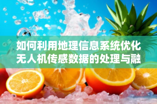 如何利用地理信息系统优化无人机传感数据的处理与融合？
