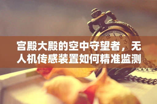 宫殿大殿的空中守望者，无人机传感装置如何精准监测古建筑？