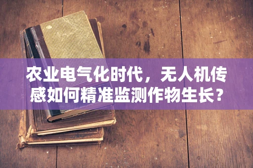 农业电气化时代，无人机传感如何精准监测作物生长？