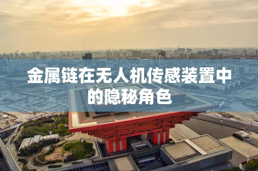 金属链在无人机传感装置中的隐秘角色