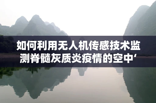 如何利用无人机传感技术监测脊髓灰质炎疫情的空中‘哨兵’？