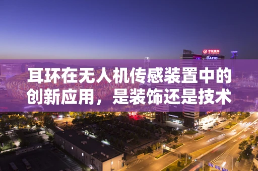 耳环在无人机传感装置中的创新应用，是装饰还是技术革新？