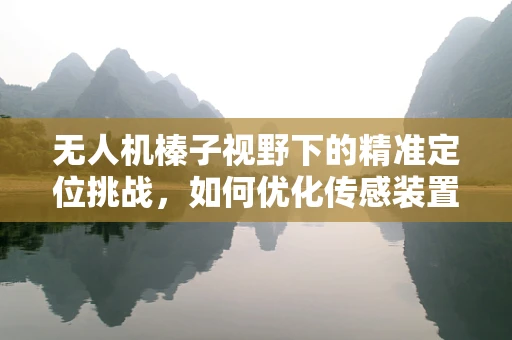 无人机榛子视野下的精准定位挑战，如何优化传感装置以应对复杂地形？