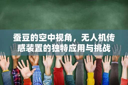 蚕豆的空中视角，无人机传感装置的独特应用与挑战