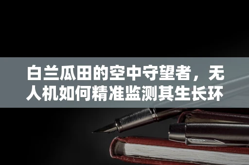 白兰瓜田的空中守望者，无人机如何精准监测其生长环境？