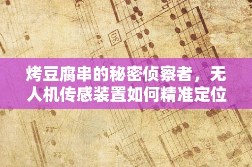 烤豆腐串的秘密侦察者，无人机传感装置如何精准定位？