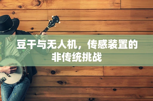 豆干与无人机，传感装置的非传统挑战