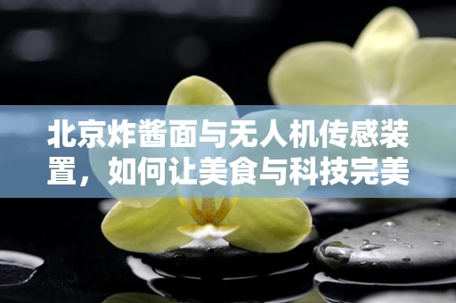 北京炸酱面与无人机传感装置，如何让美食与科技完美融合？