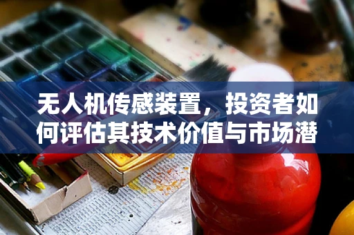 无人机传感装置，投资者如何评估其技术价值与市场潜力？