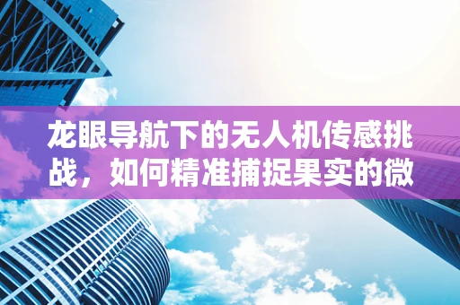 龙眼导航下的无人机传感挑战，如何精准捕捉果实的微妙变化？